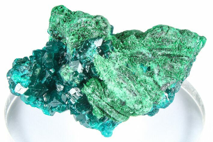 Emerald-Green Dioptase Crystal Cluster w/ Malachite - DR Congo #379421